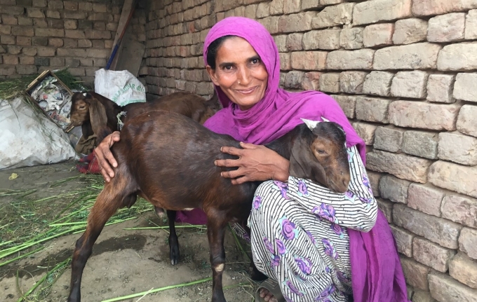 Lady and goat