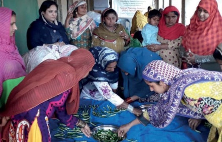 Sindh women