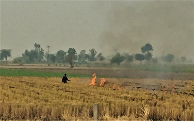 Stubble burning