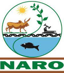 NARO